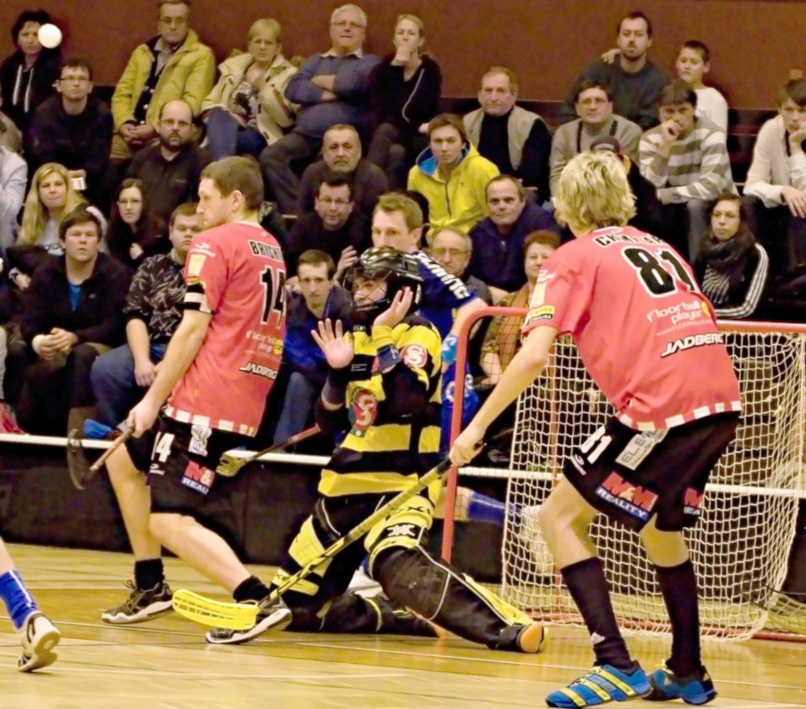 Pe.A   PArdubice 16.2.2013 (71)